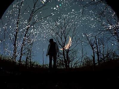 苏童黄雀记第几届获茅盾文学奖,苏童的小说黄雀记到底想表达什么