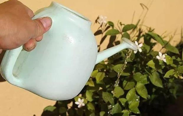 过期药的妙用,过期药品的妙用有哪些