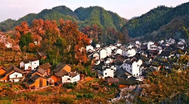 婺源篁岭赏秋,晒秋江西婺源篁岭