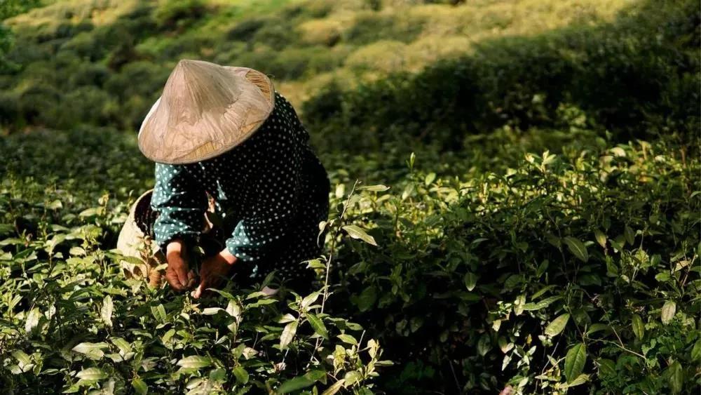 杭州出家,杭州出家需要什么条件