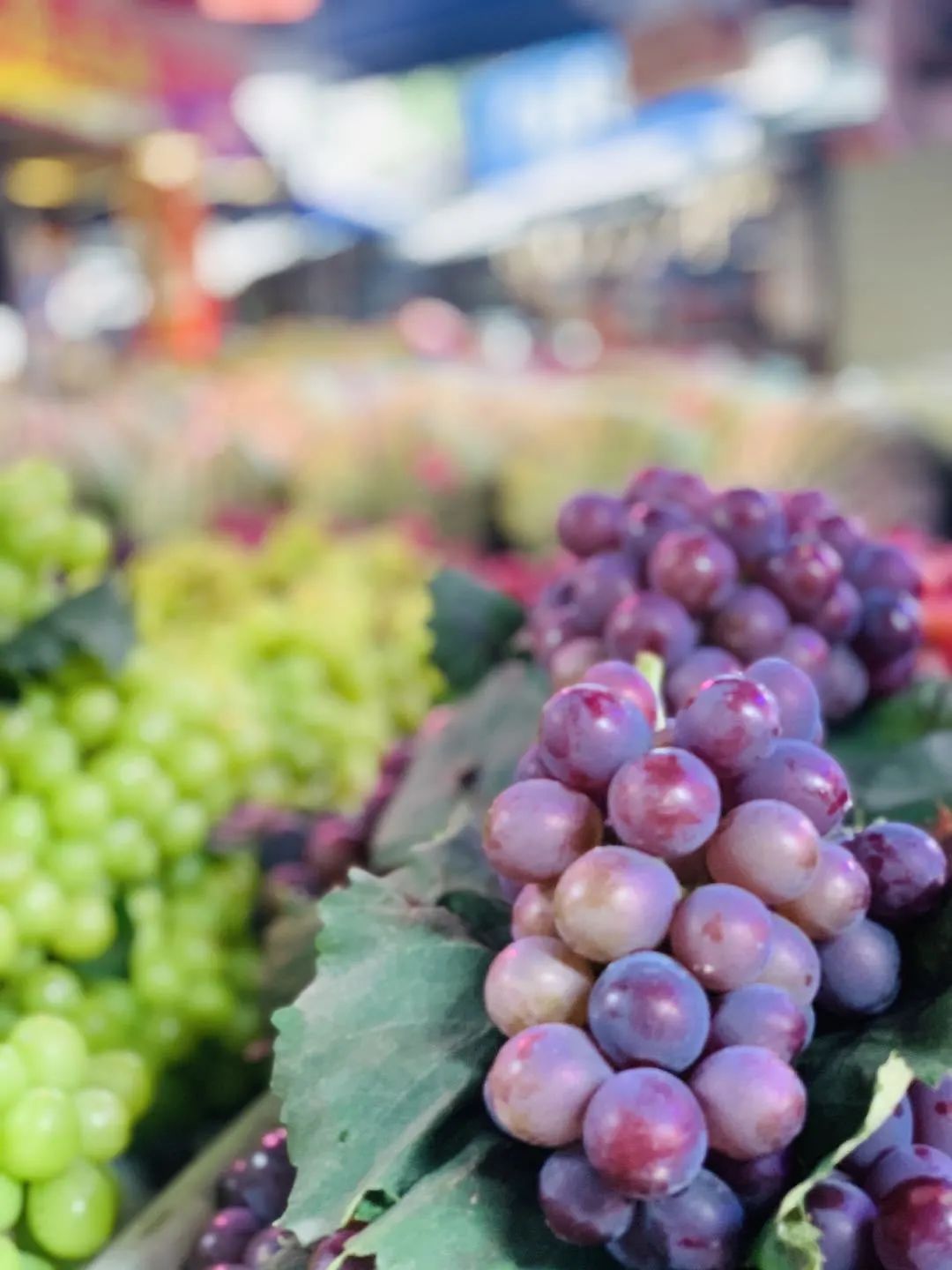 静远路便民服务中心在哪里,锦江区静远路便民服务中心