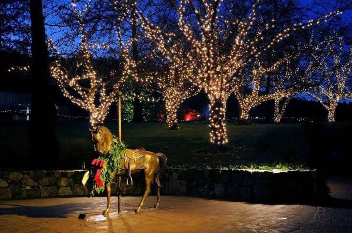 布查德花园的秋冬季,全球最美花园布查特花园