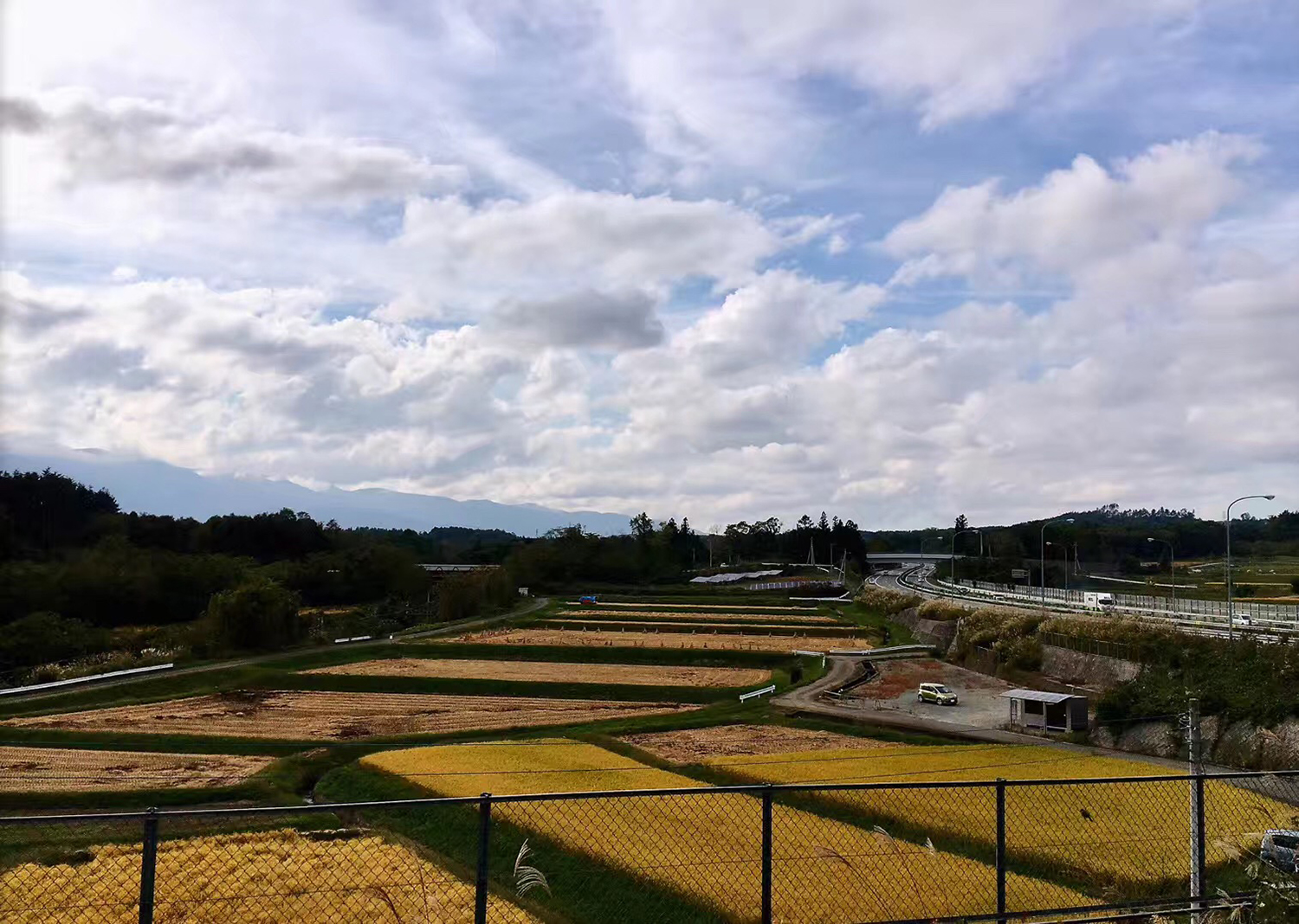 东京发达不,东京城市到底是怎么样