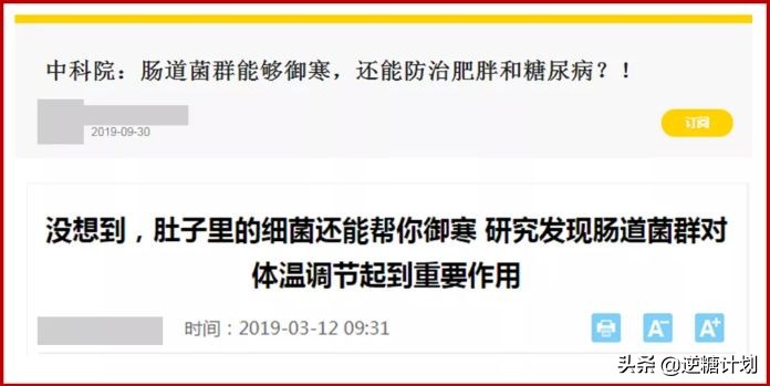 怎样做轻断食瘦得快,如何轻断食比较健康