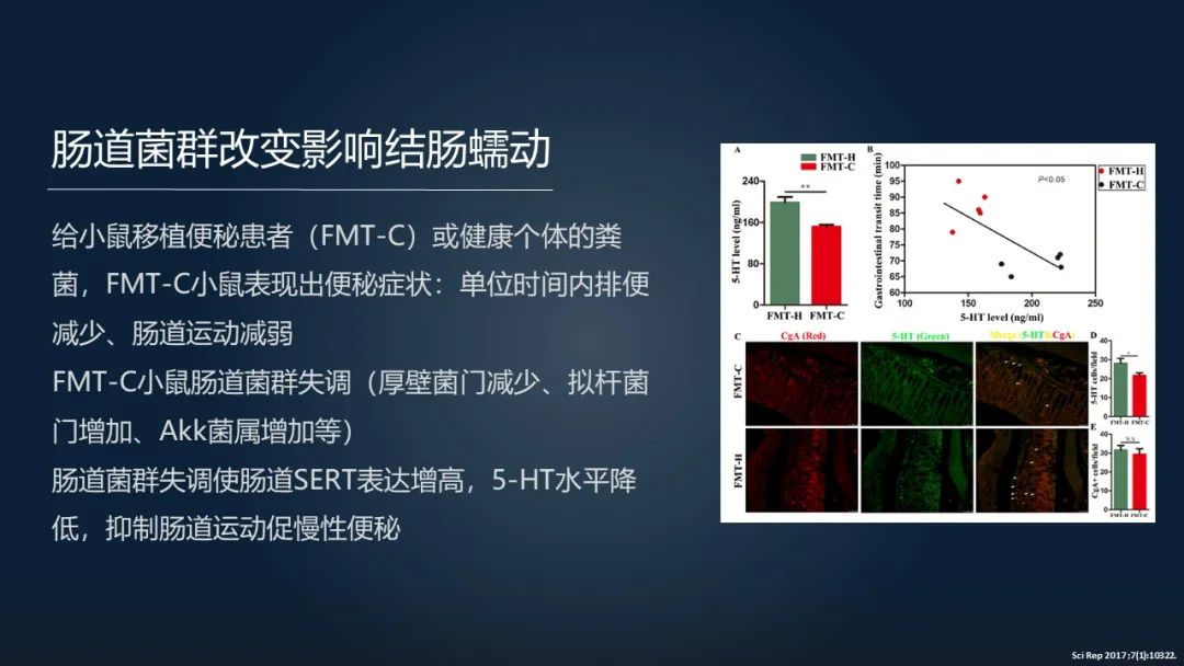 一招调理肠道改善便秘,肠道水疗治便秘有效吗