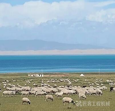 你的冬天有火锅有板栗,你的冬天有暖阳吗