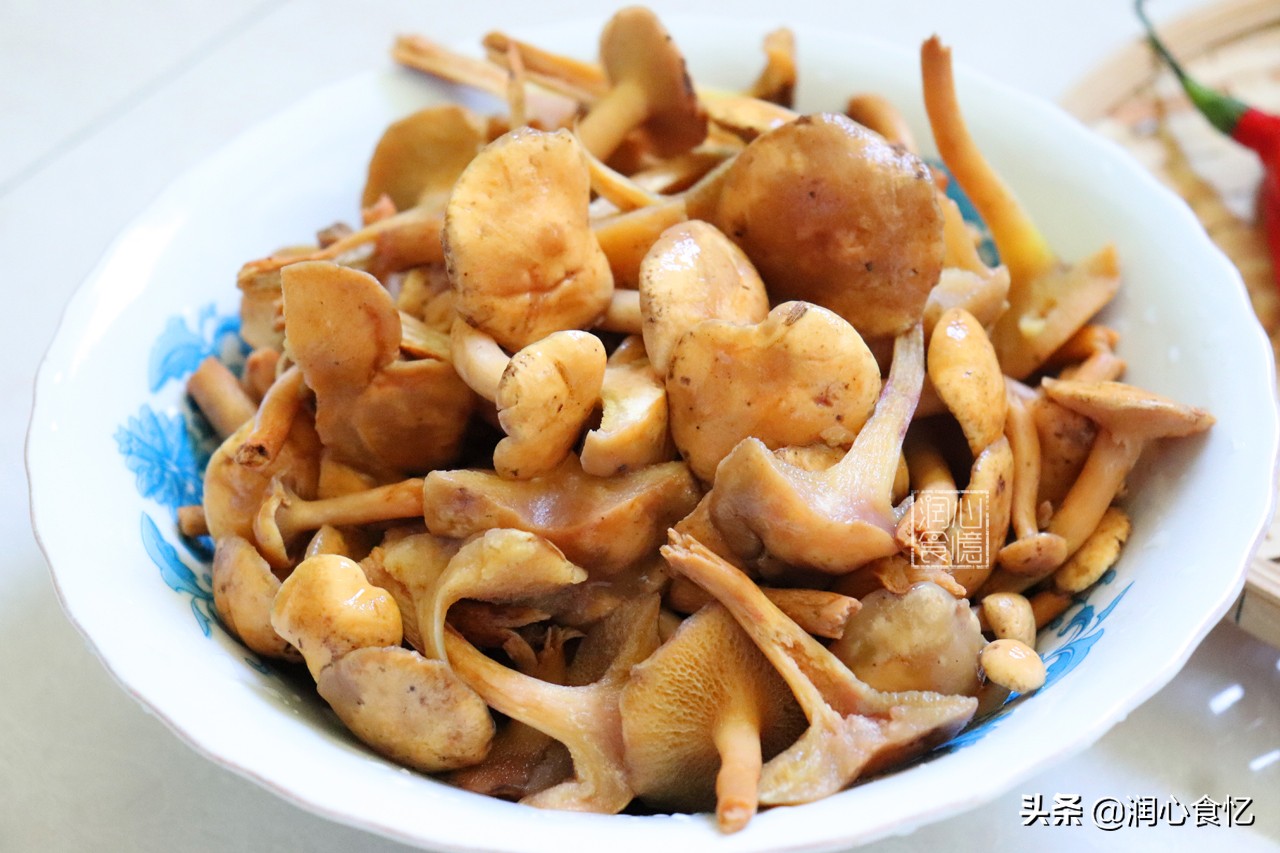 最美味的食用菌,野生菌子又香又好吃