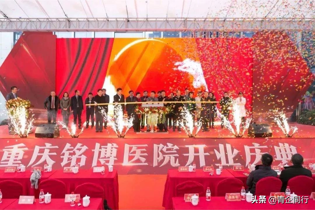 见证CYEC理事企业的2019