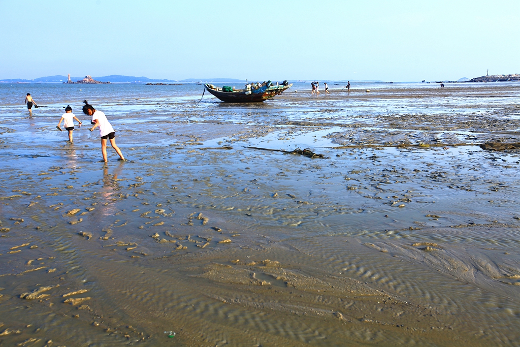 大连游玩抓螃蟹,小众海边亲子游赶海抓螃蟹
