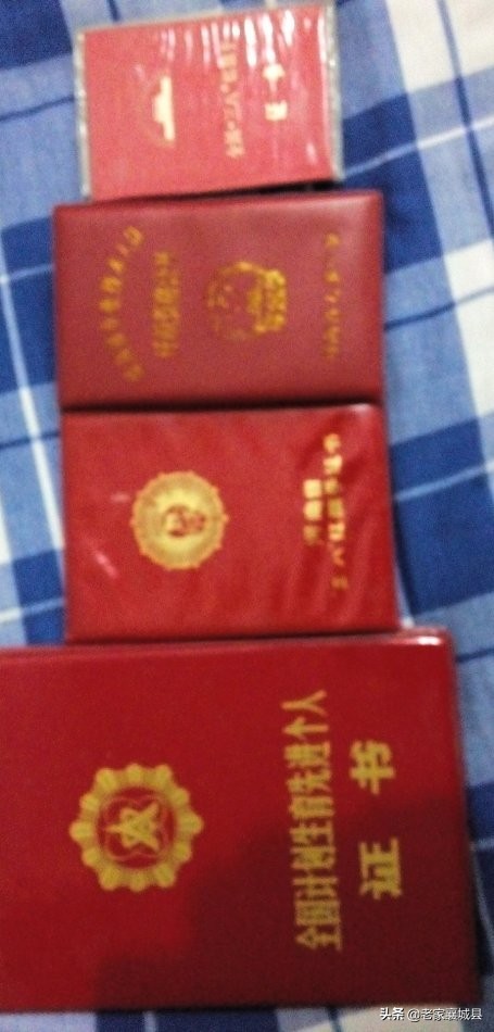 名医王爱莲详细介绍