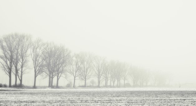 盘点护肤界的那些智商税,护肤界十大智商税