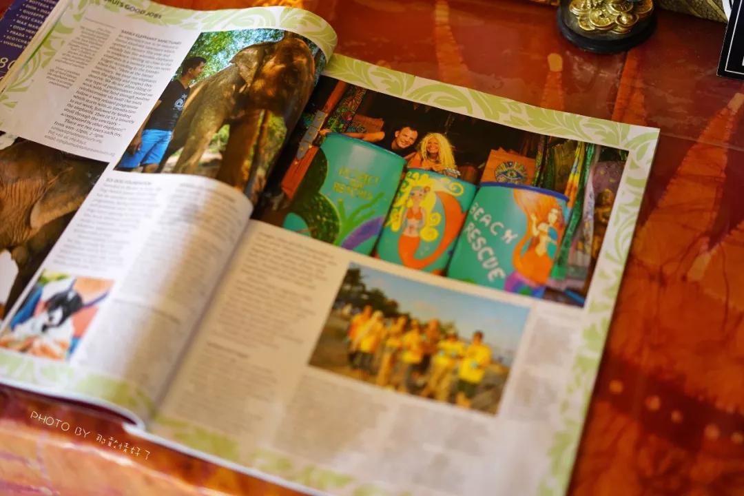 美国艺术家老夫妇定居苏梅岛十年，教游客画垃圾桶，唤醒环保意识