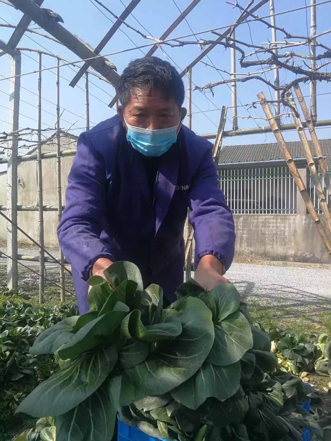 新时代文明实践志愿者并肩战疫,致全市广大新时代文明实践志愿者