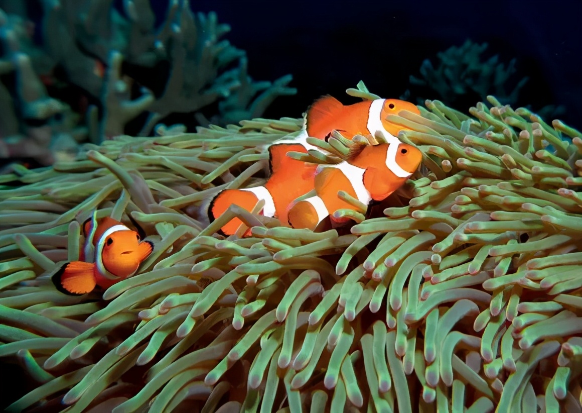 等疫情过后去日本旅行,疫情结束我们一起去旅游吧