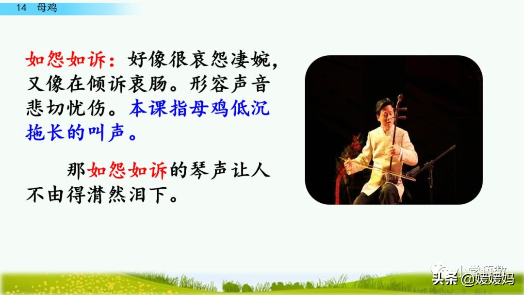 四年级下册第13课小练笔仿写母鸡,四年级下册14课母鸡的预习完整版