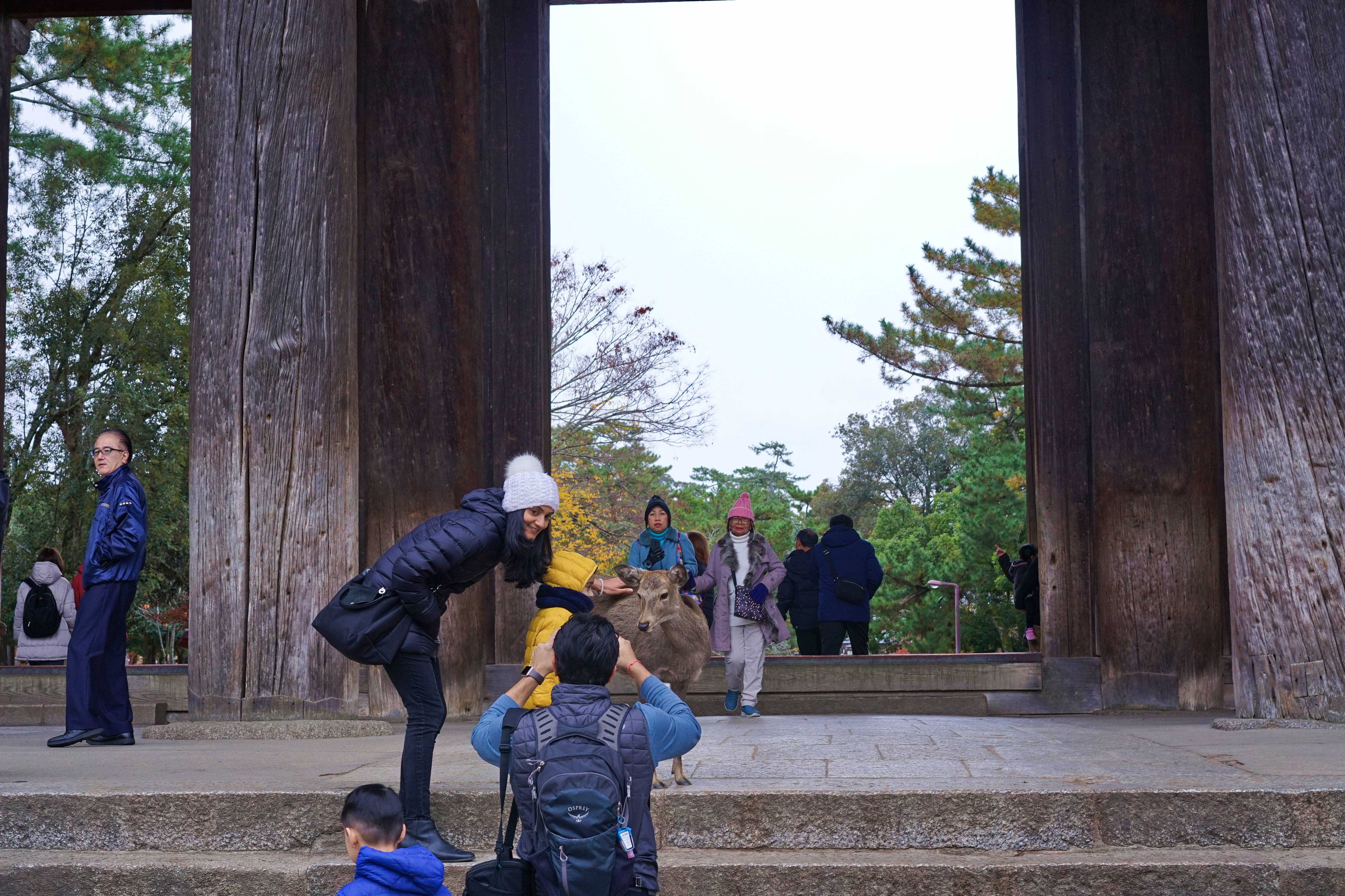 “山川异域，风月同天”雪中送炭的日本风景秀美，你会去旅行吗？