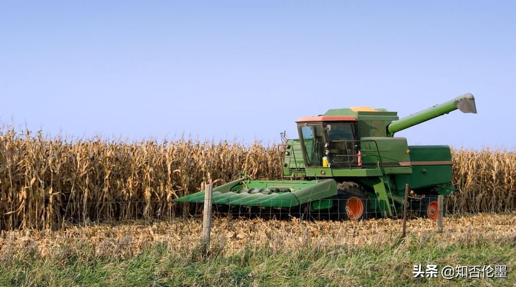 农村种植什么最赚钱投资小见效快,农村有什么投资小挣钱的好项目