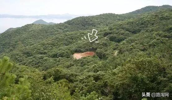 范冰冰推荐面膜天涯,范冰冰面膜推荐补水美白