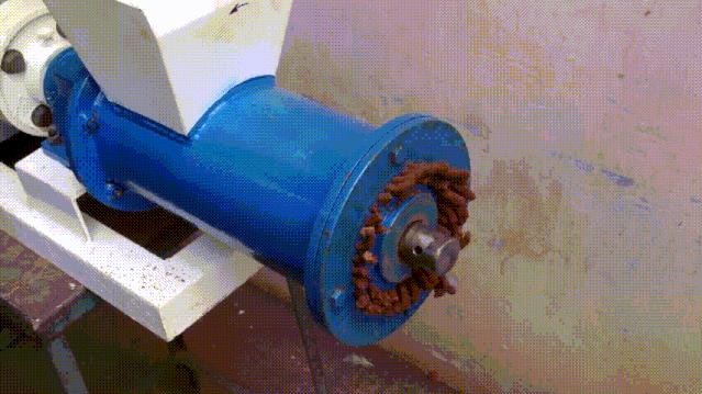 生产颗粒饲料加工需要学习什么,饲料颗粒用什么做成的最好