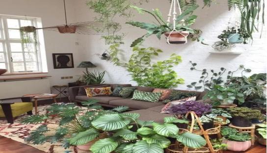 甲醛危害专家视频,清华教授讲甲醛能完全去除吗