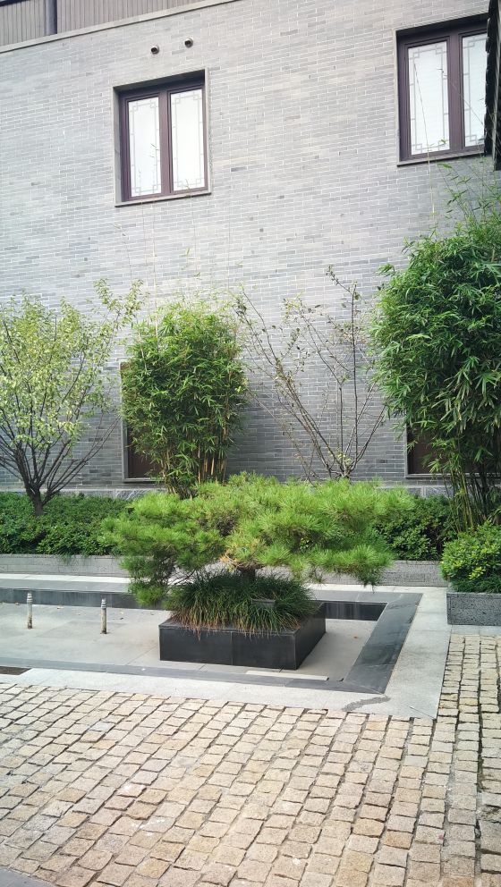 夫子庙和老门东靠得近吗,夫子庙与老门东之间距离