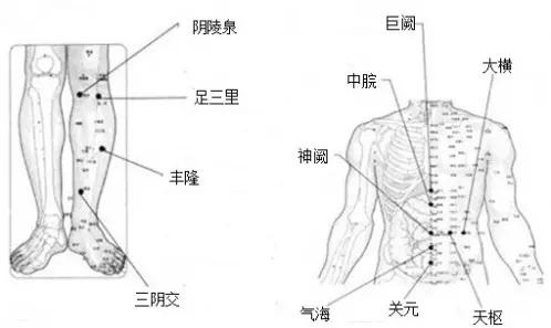 脾虚痰湿体质减肥,脾虚湿盛怎么减肥有效
