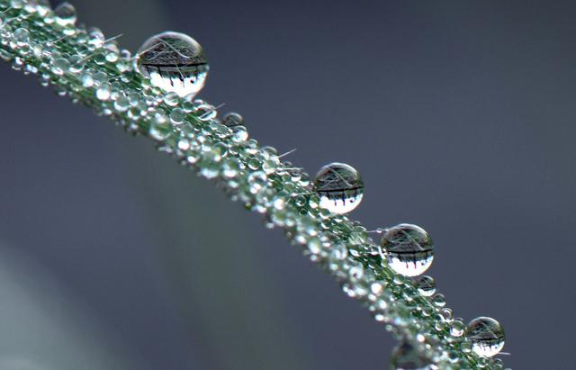 期货交易之道视频大全,期货交易之道完整版