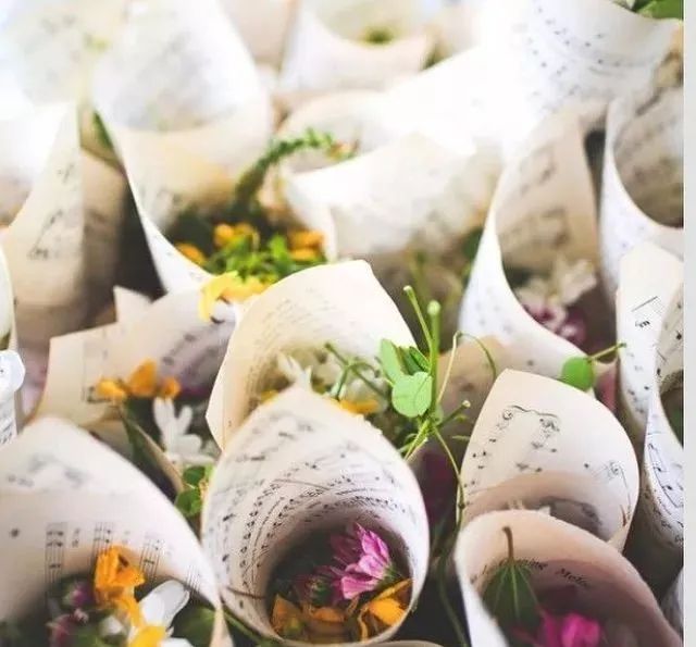 环保花束的趋势,创意环保花束