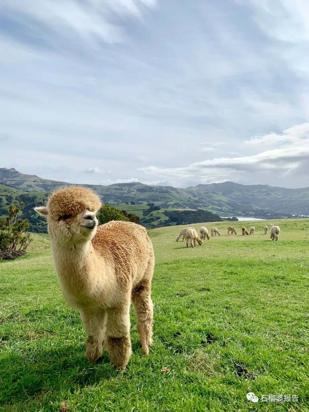 旅行7天,七天游记的视频在线观看全集高清