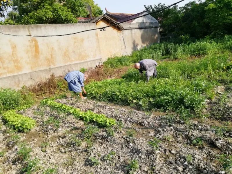 抢抓农时开展农业生产,农民纷纷抢抓春耕生产有利时机