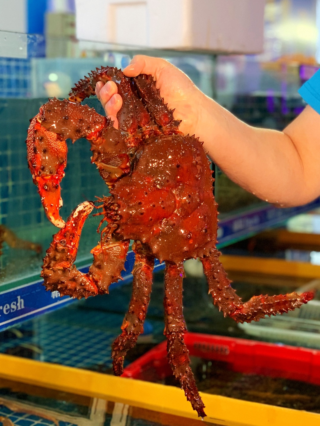 30年老厨师毫不保留教你做香辣酱,30年的老厨师教做新疆大盘鸡