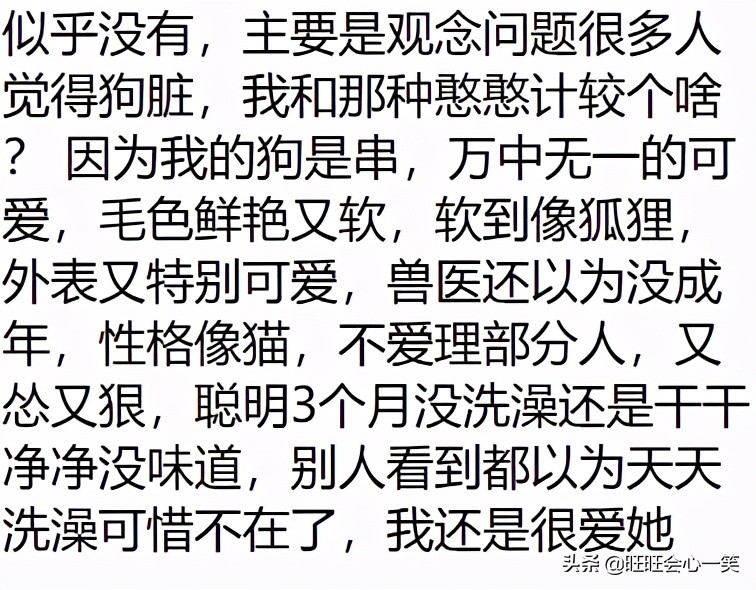 你最讨厌别人怎么评价你的狗狗？