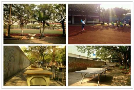 高职高考必看广东文理职业学院,广东职业学院是高职院校吗