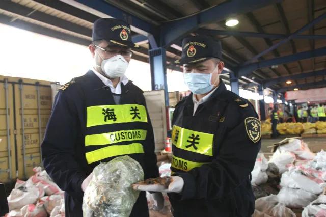 广东一男子卖鸭子被抓,一男子贩卖鸟却被抓