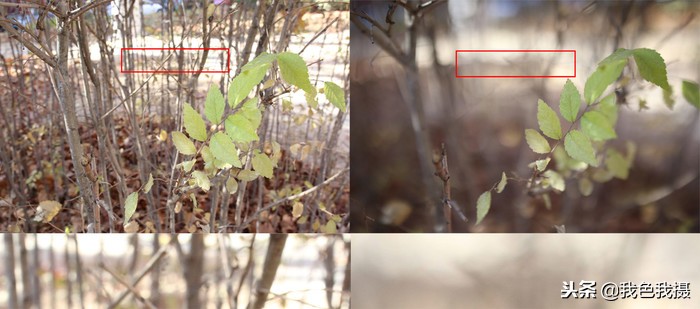 永诺35mmf1.4测评,七工匠35mmf1.4和永诺35mmf1.4哪个好