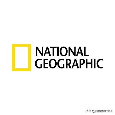 一叶一菩提由来,一叶一菩提是什么特色