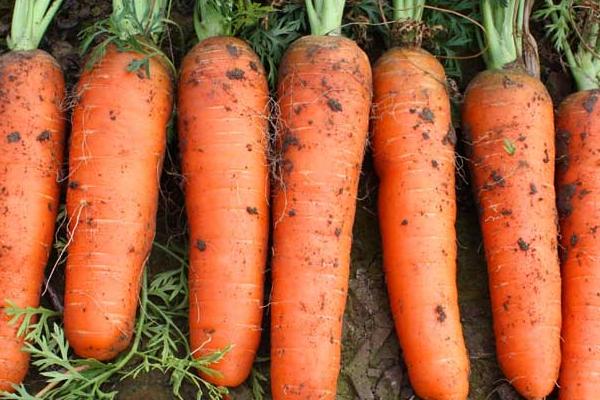 家里油烟机无论多脏多油,油烟机不管多脏教你一招