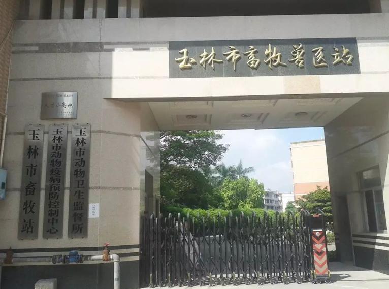 宠物医院套路深怎么办,揭秘无良宠物医院套路