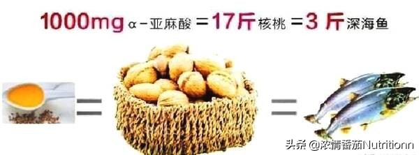婴儿补充dha的最佳时间是什么时候,宝宝补充dha的最佳时间表