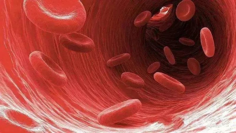 月经量少补气补血最快的方法食补,月经量少补血有用吗