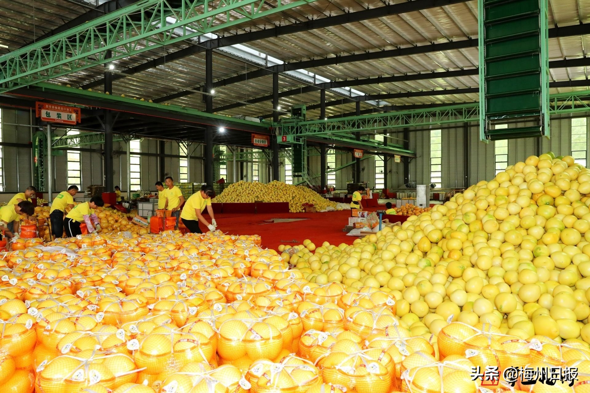 吴晖朱少辉率*党**政代表团赴丰顺大埔学习考察：学经验补短板，铆足干劲迎头赶上