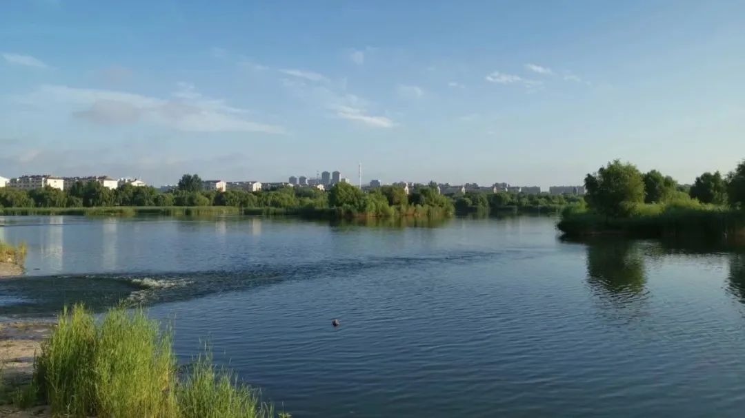 之谓和谓之的区别,谓之和谓有何用法上的区别