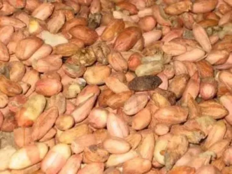 晚期肝癌和中晚期肝癌有什么区别,85岁肝癌晚期怎么治