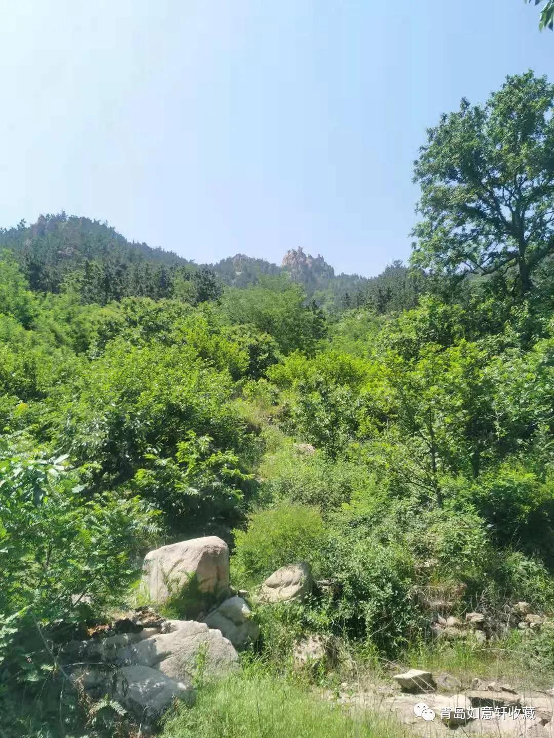 巨峰山泉在哪里,青岛崂山甘露山泉