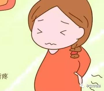 孕期周刊27周,孕期周刊25周