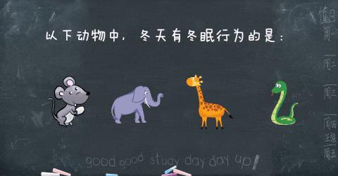 ppt触发器的有效利用,ppt触发器隐藏功能