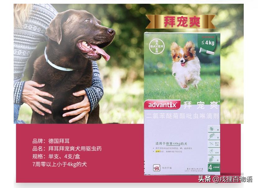 什么驱虫药狗子用好,狗外用驱虫药啥牌子的最安全