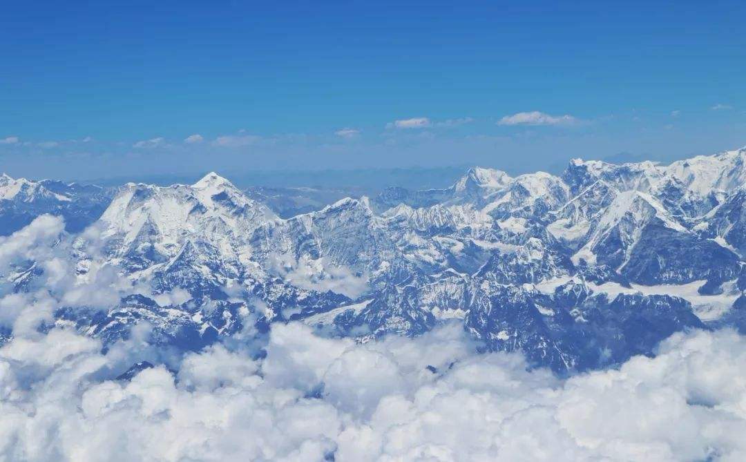 珠峰海拔6159米长出了绿色植被，这不是春天来了，而是狼来了