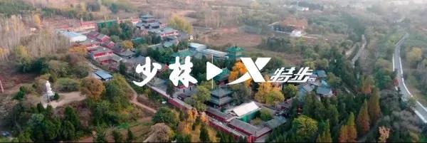 国潮特步和特步的区别,特步国潮男士鞋子