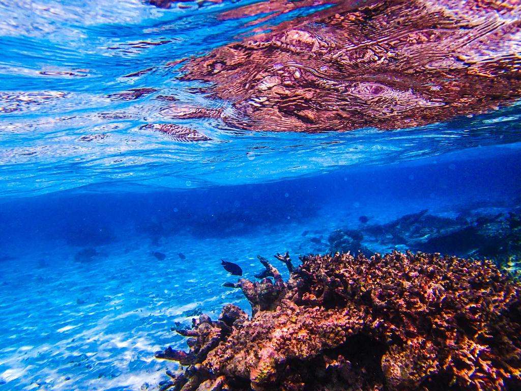 马尔代夫班度士岛旅游,马尔代夫thoddoo岛怎么去